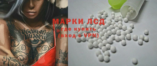 прущие грибы Армянск