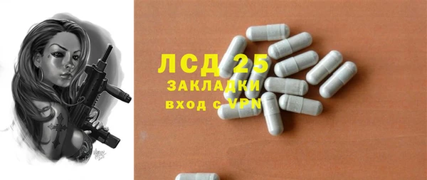 прущие грибы Армянск