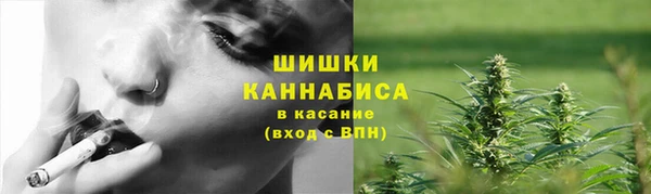 сатива Аркадак
