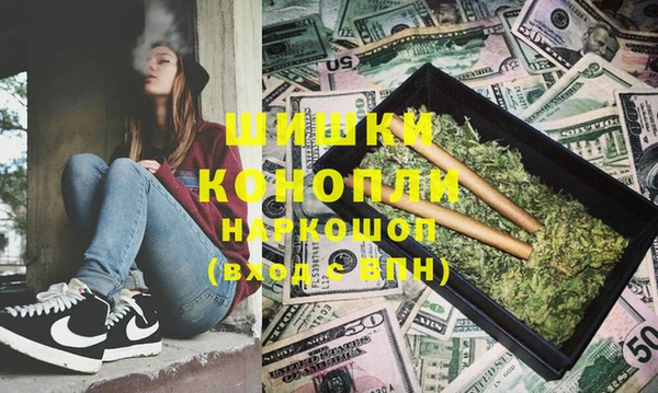 сатива Аркадак