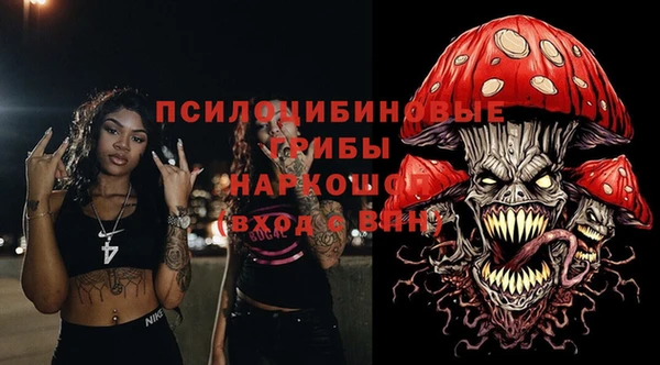 сатива Аркадак